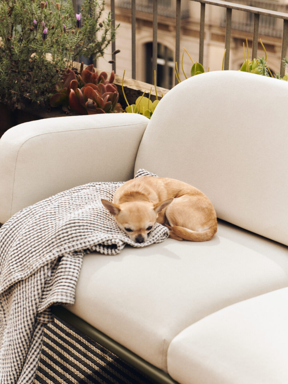 Organic shapes inspire an outdoor lounge